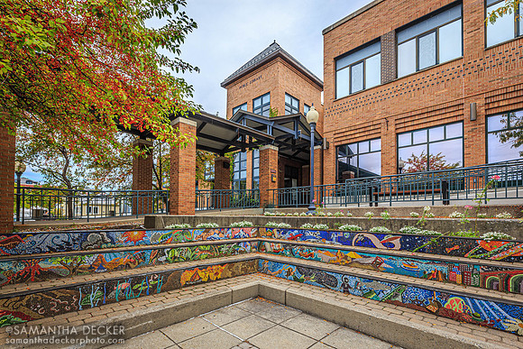 Saratoga Springs Public Library