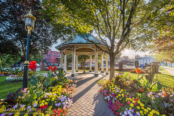 Summer Flowers by Hathorn Spring