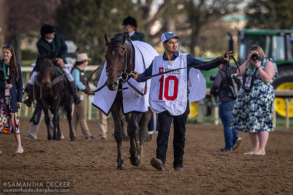 Sierra Leone wins the Grade I Blue Grass Stakes at Keeneland