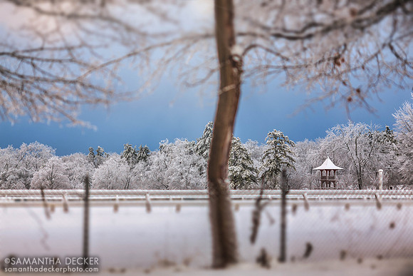 Oklahoma Track in Winter, 2020