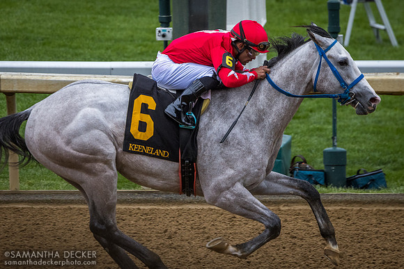 Glengarry wins the Lafayette Stakes at Keeneland