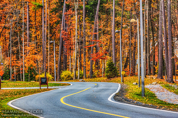 Fall at Skidmore College, Saratoga Springs, NY