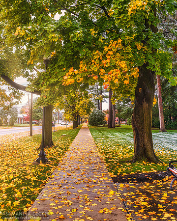 Fall and Winter Outside the Grove