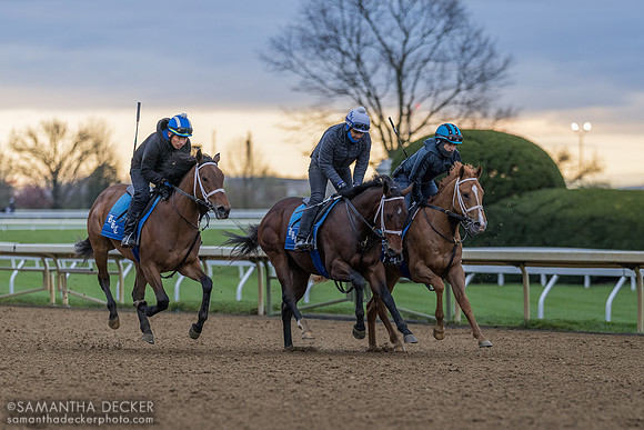 Brad Cox trainees at Keeneland