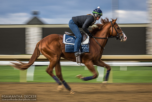 The Toner at Keeneland