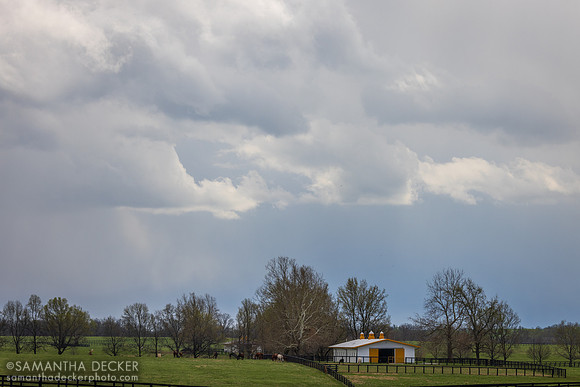 Claiborne Farm, Paris, KY