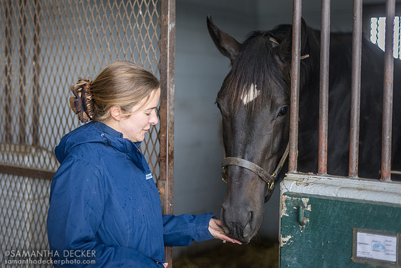 Claire Bandoroff gives Midnight Disguise a treat, Denali Stud, Paris, KY