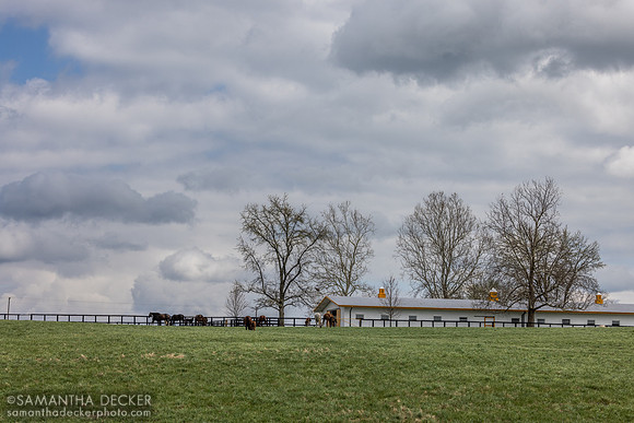 Claiborne Farm, Paris, KY