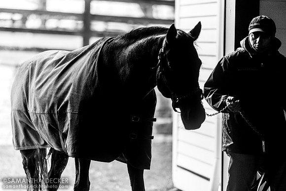 Spendthrift Farm, Lexington, KY