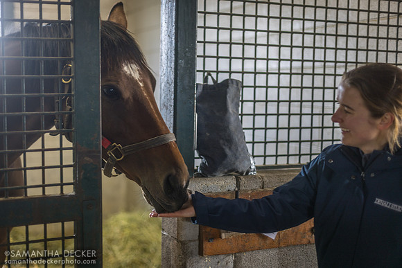 Claire Bandoroff gives Madame Milan a treat, Denali Stud, Paris, KY