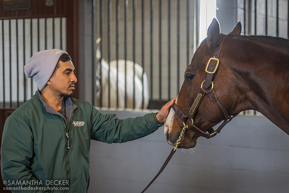 Complexity, Airdrie Stud, Midway, KY