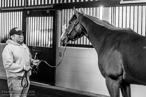 Mage, Airdrie Stud, Midway, KY