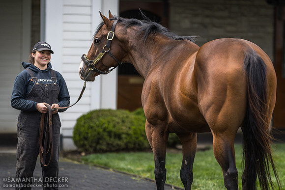 Jackie's Warrior, Spendthrift Farm, Lexington, KY