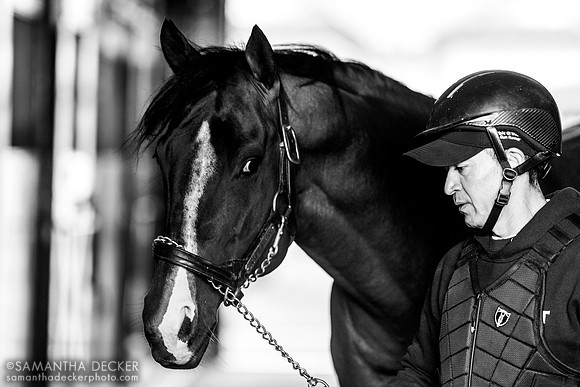 Jackie's Warrior, Spendthrift Farm, Lexington, KY