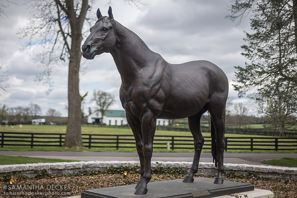 Malibu Moon, Spendthrift Farm, Lexington, KY