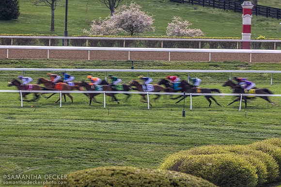 Grade II Appalachian Stakes at Keeneland