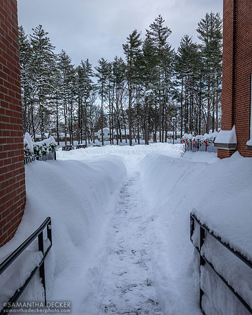 Walking out into the snow