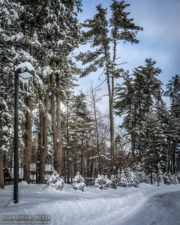 After the Snow Storm