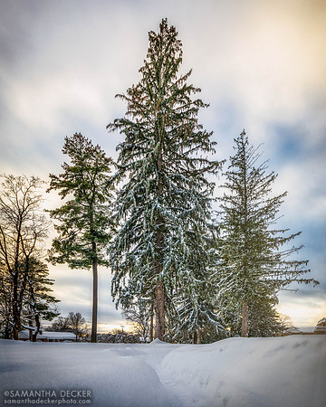 After the Snow Storm