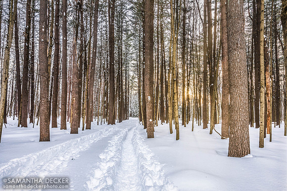 Saratoga Spa State Park in Winter