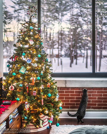 Fran looking out at the snow