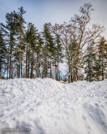 After the Snow Storm