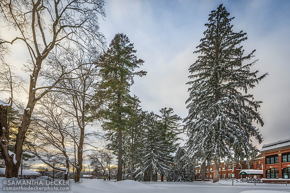 After the Snow Storm