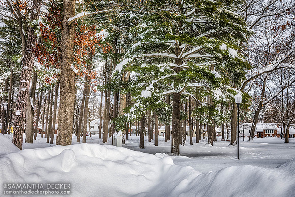 After the Snow Storm