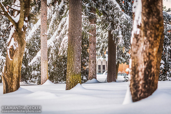 After the Snow Storm