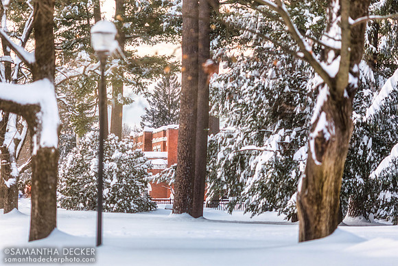 After the Snow Storm
