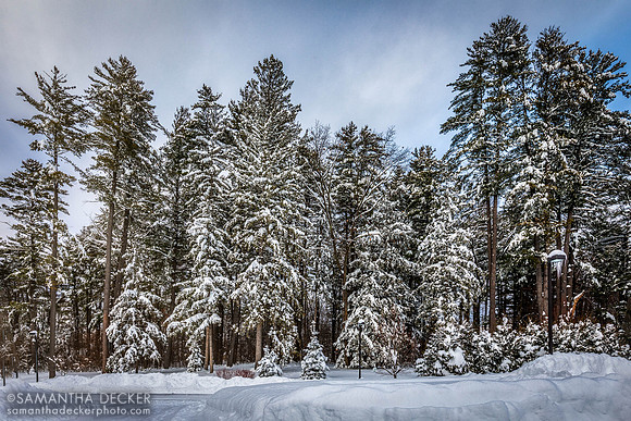 After the Snow Storm