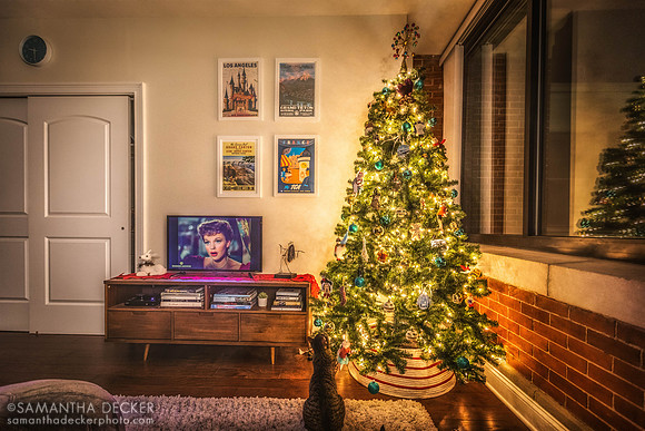 It's the Holiday Season!