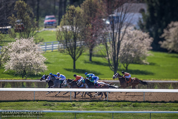 Keeneland