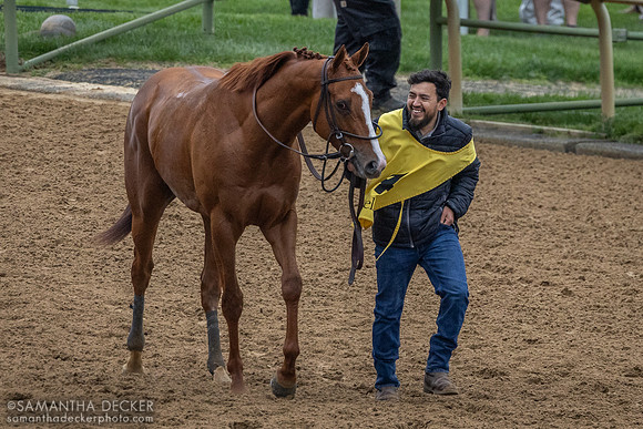 Neat wins the Grade III Transylvania Stakes at Keeneland, 2024