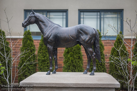 Bernardini, Jonabell Farm, Lexington, KY