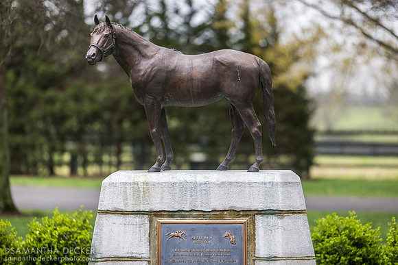 Affirmed, Jonabell Farm, Lexington, KY