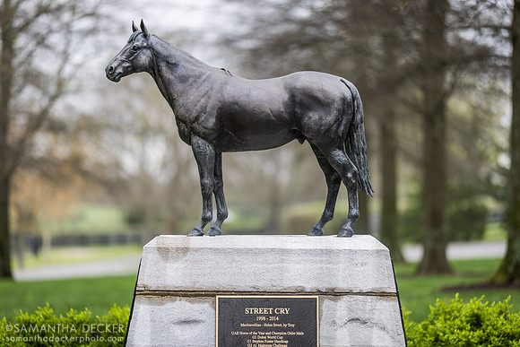 Street Cry, Jonabell Farm, Lexington, KY