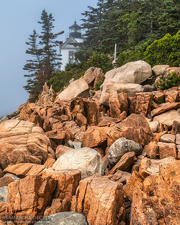 Bass Harbor Head Lighthouse, Acadia National Park