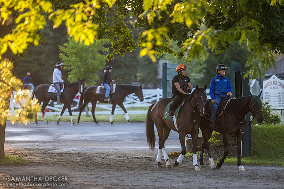 Sovereignty heading out to the track, 2025