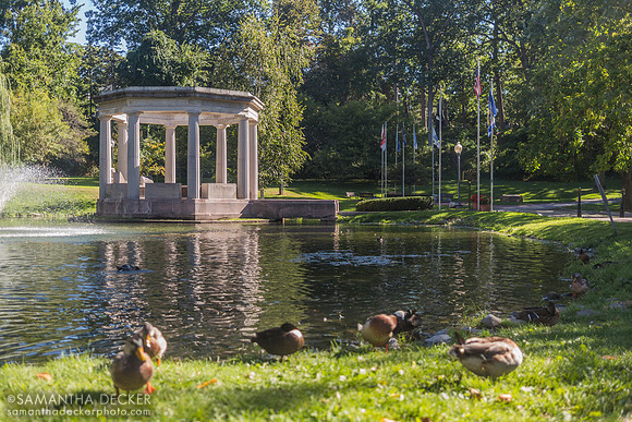 Congress Park