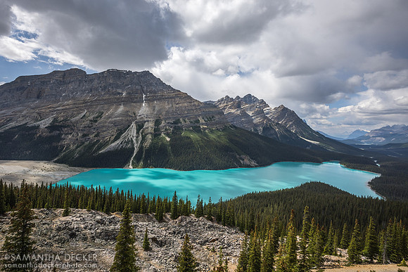 Peyto Lake, Banff National Par