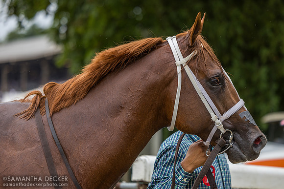 Eighty West, winner of R4