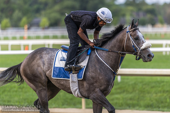 Danny Ramsey rides Gould's Gold