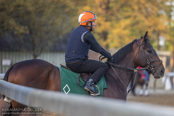 Sovereignty, Jimmy Quispe up