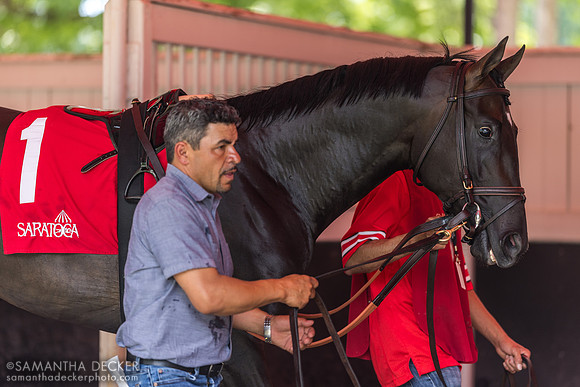 Unmatched Wisdom, winner of the Curlin S.