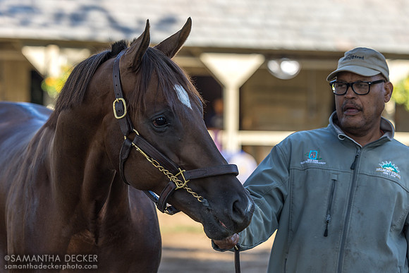Smoken Wicked with groom Zeke Williams