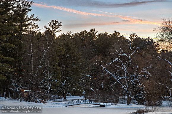 A Winter Scene in Crandall Park, Glens Falls, NY
