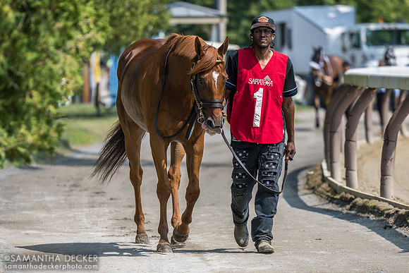 Nakatomi, winner of the Alfred G. Vanderbilt H.