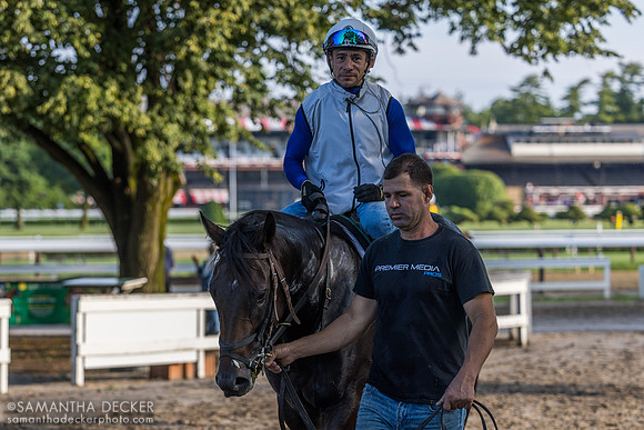 Junior Alvarado on Spirit of the Law (I think(
