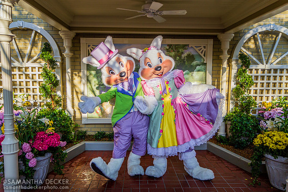 Mr. and Mrs. Easter Bunny in Magic Kingdom